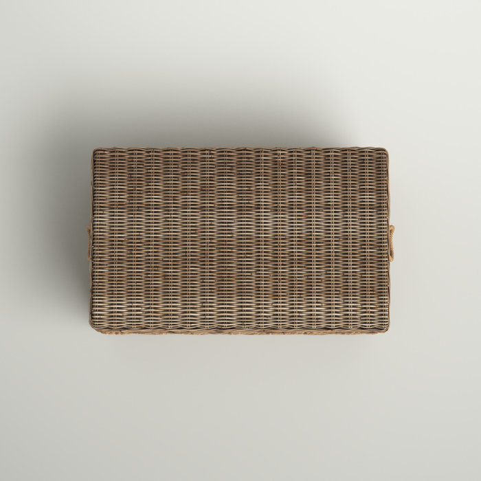 Sand & Stable Kent Wicker Trunk & Reviews Wayfair